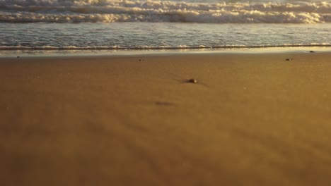 calm beach wave at sunset