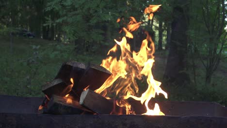 Verbrennen-Von-Brennholz-In-Der-Kohlenpfanne-Zum-Kochen-Von-Speisen-Im-Hintergrund-Der-Sommernatur