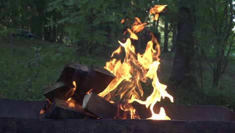 burning firewood in brazier for cooking food on background summer nature