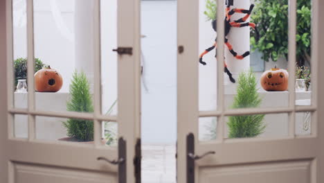 ¡halloween se acabó, te asustaré el año que viene!