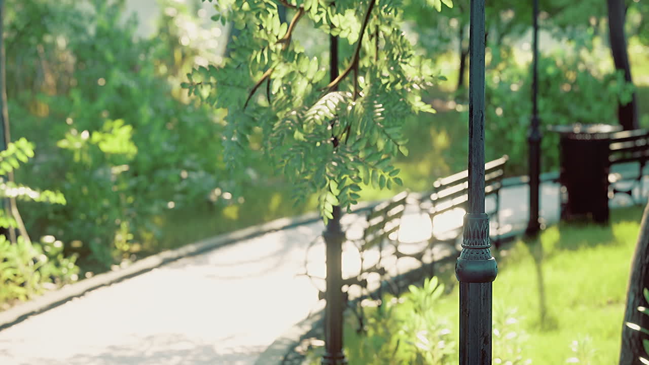 Serenity of a sunlit park path surrounded by lush greenery and gentle breeze