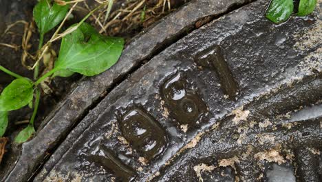 the cast iron water manhole cover is wet after a summer rain. old vintage hatch