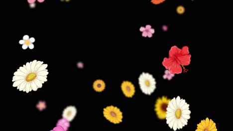 vibrant flowers cascade against a dark backdrop