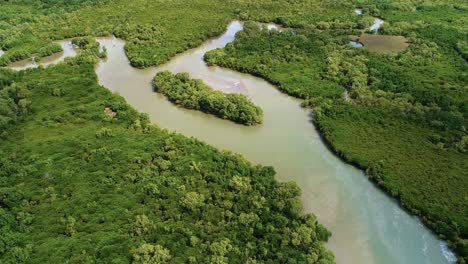 aerial view of the mangrove swamps , city of dar es salaam