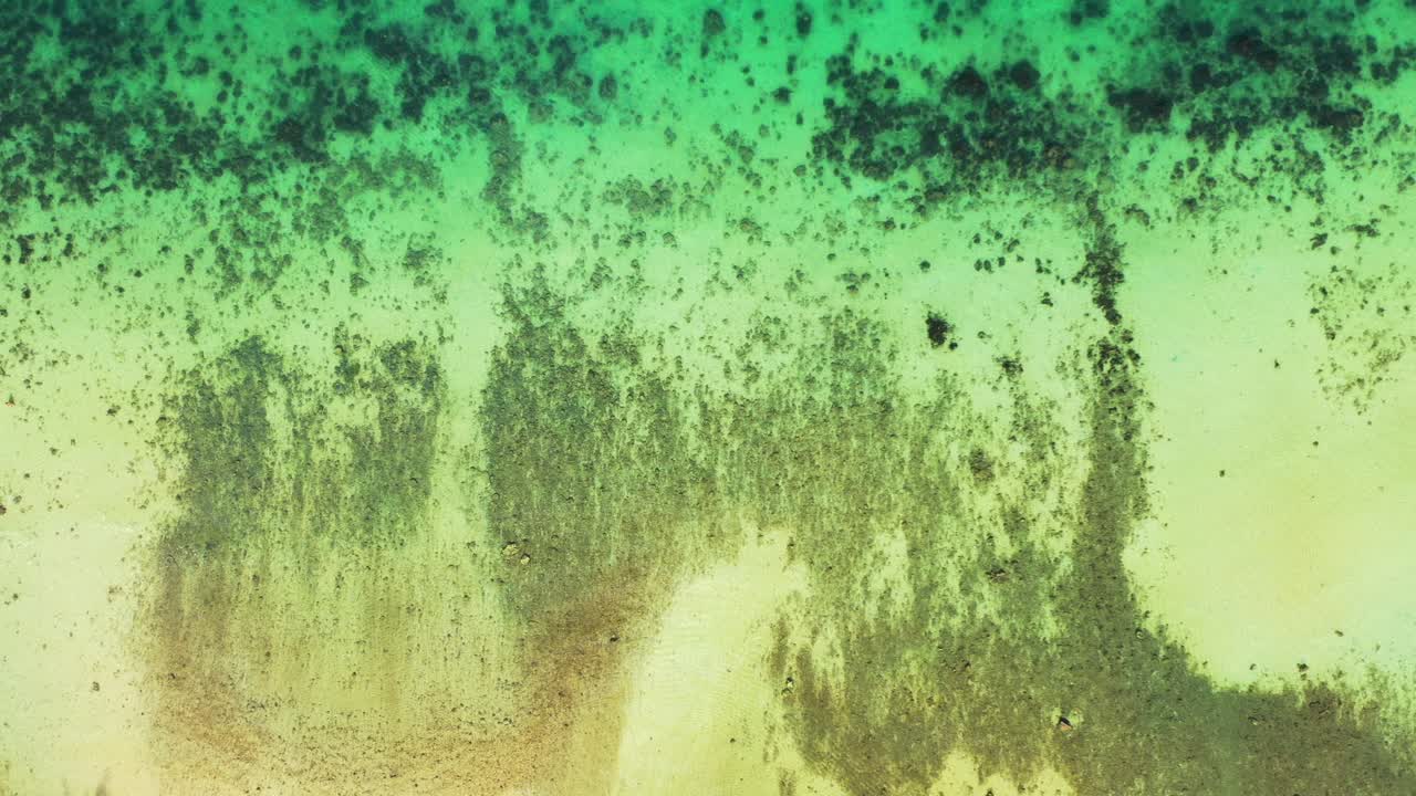 바하마의 열대 섬 해안에 있는 얕은 석호의 맑은 물 아래 산호초와 자갈 무늬가 있는 아름다운 해저 질감