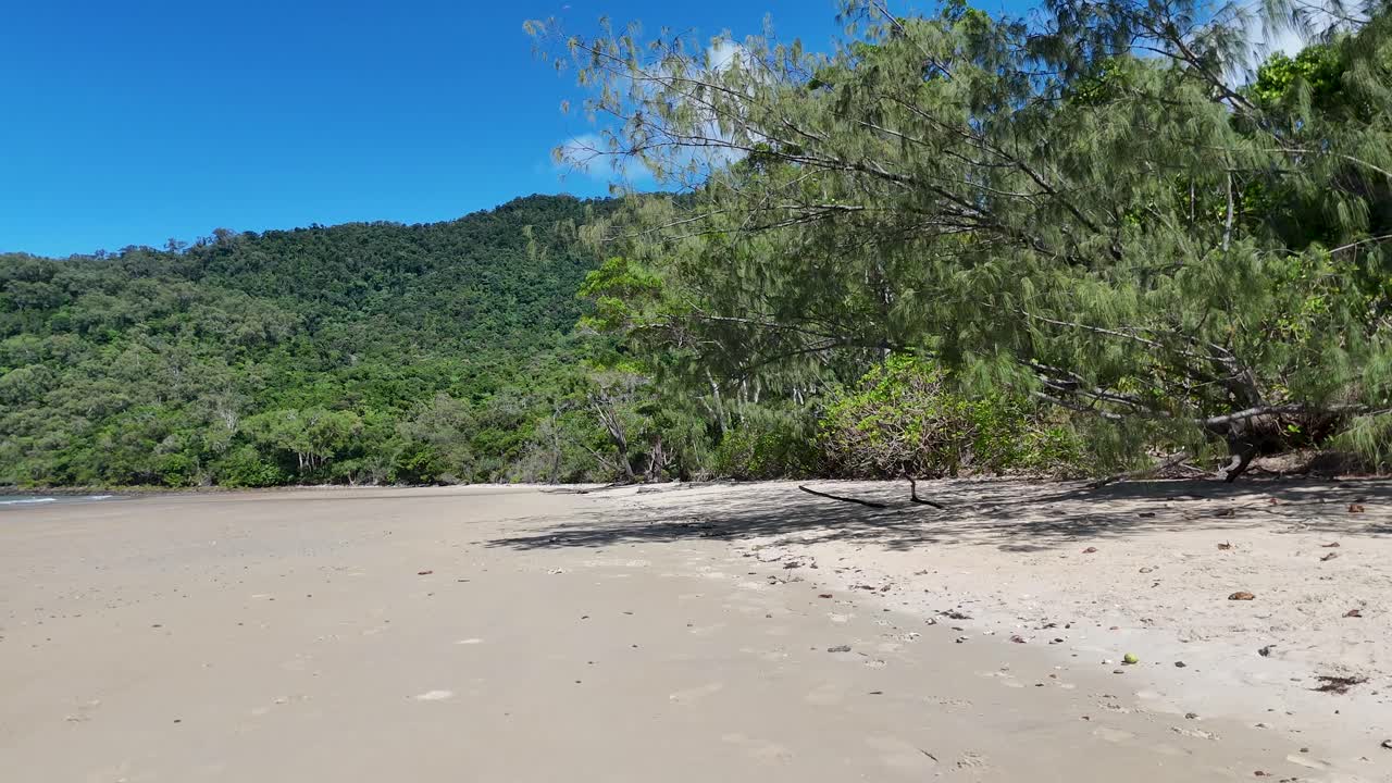Camera slowly pans across sandy beach, mangroves, and lush rainforest under bright daylight