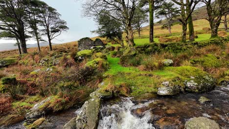 ireland mountains landscape babbling brook and ruined cottage coverage mountains waterford epic locations and landscapes ireland in winter