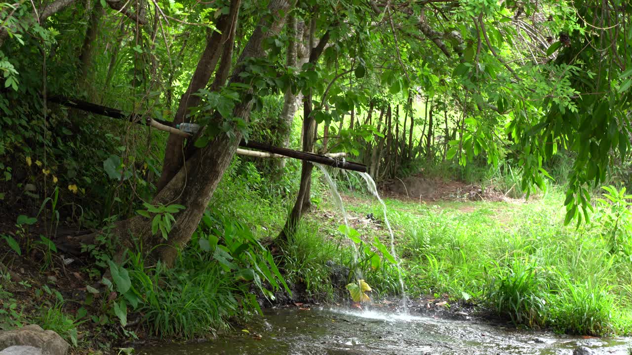 엘살바도르의 대나무에서 나오는 물