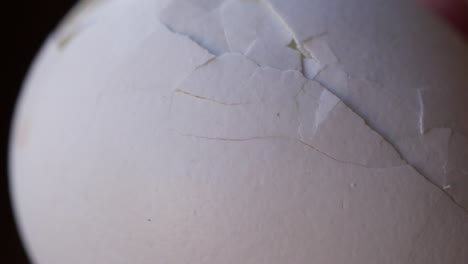cracked egg