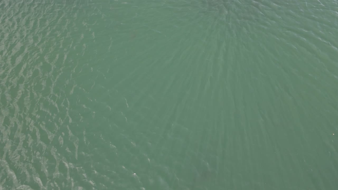 Top-down drone shot slightly elevated over shimmering water with subtle waves and sunlight reflections — a calm, natural surface captured from above with soft motion and light texture.