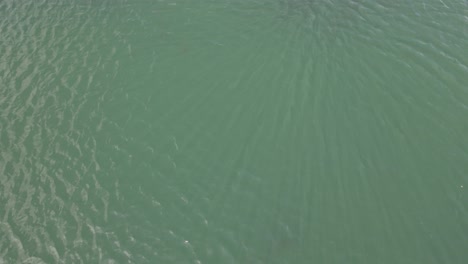 top-down drone shot slightly elevated over shimmering water with subtle waves and sunlight reflections — a calm, natural surface captured from above with soft motion and light texture.