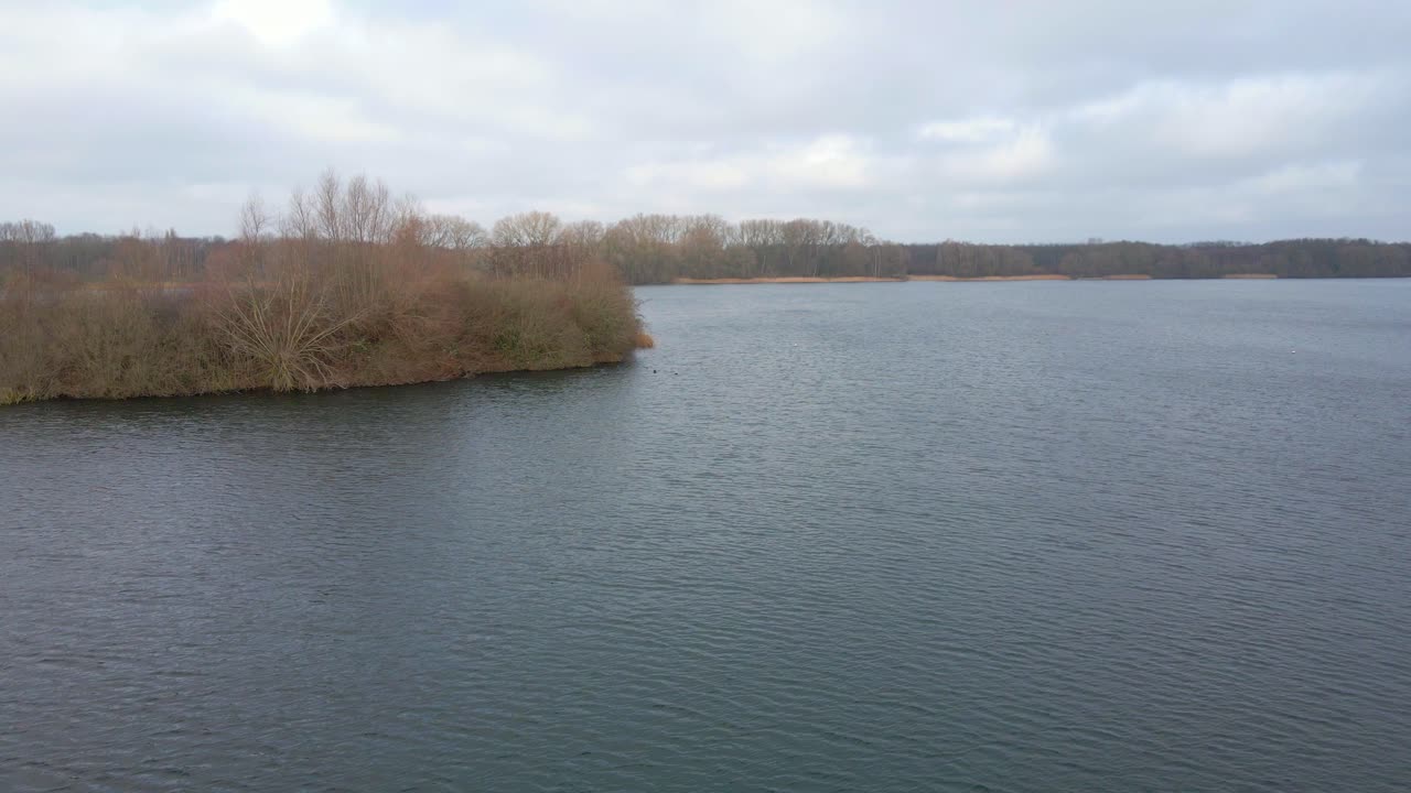 겨울에 호수에서 새를 확대하는 공중 샷