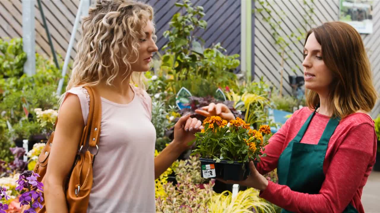 고객 과 상호 작용 하는 여성 꽃 가게