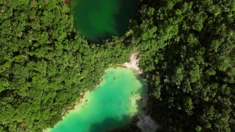 lagos de cráter turquesa en el antiguo paisaje volcánico de nueva zelanda, aérea