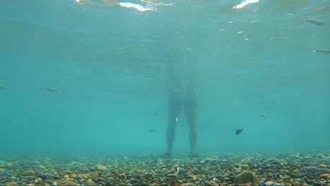 underwater view of fish hook by fisherman fishing on standing at the seashore mediterranean sea