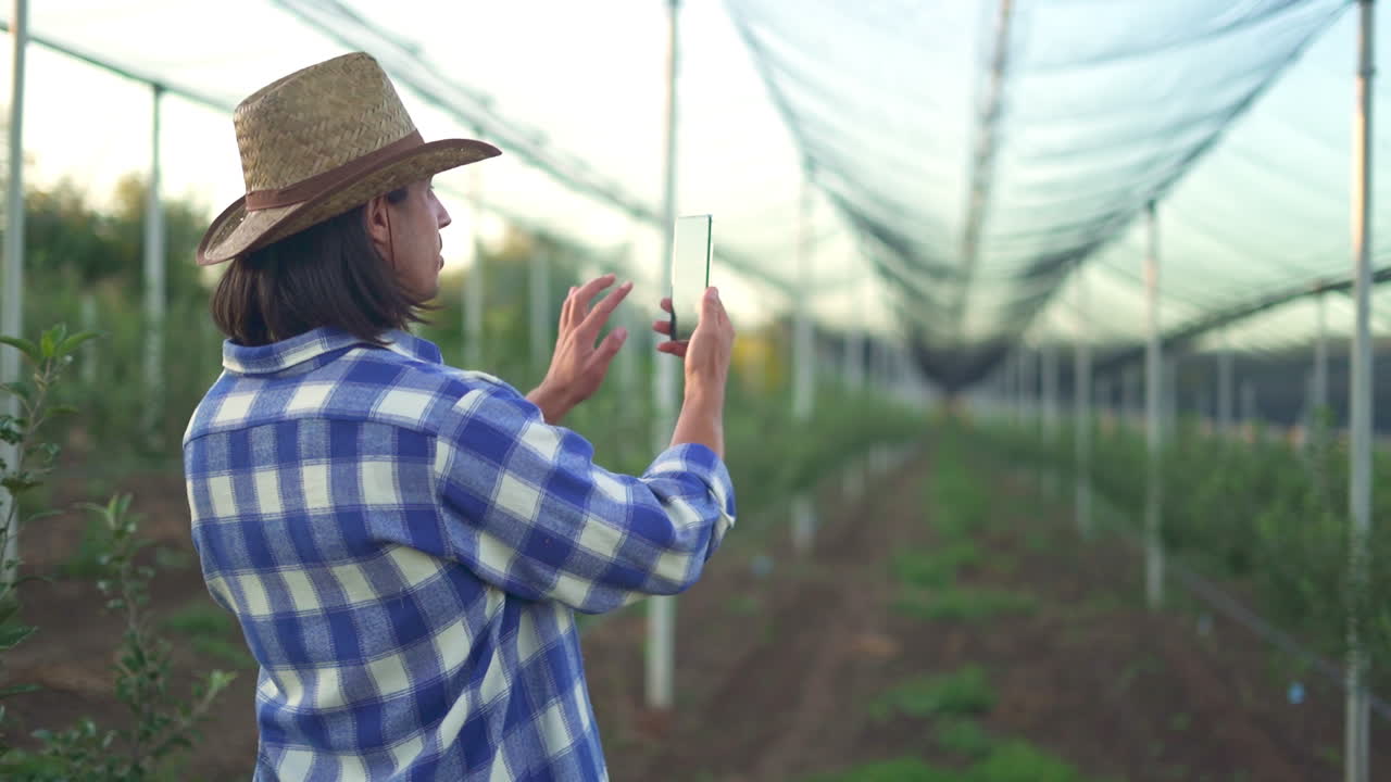 Farmer using a smartphone to inspect an orchard protected by a net