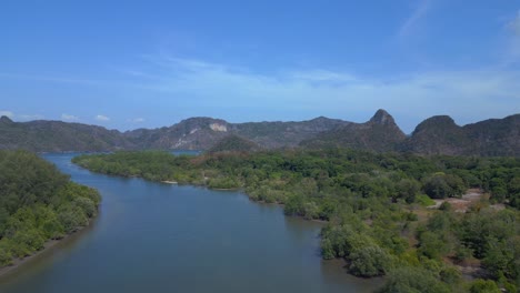 Mangroven-Fluss-Ansicht-üppiges-Grün-Bewölkter-Himmel