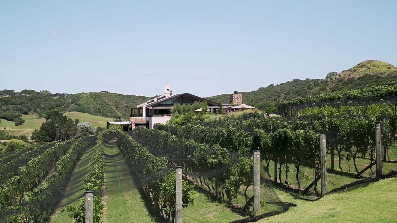 SLOWMO - Vigneti a filari e cantina sull'isola di Waiheke, Nuova Zelanda.