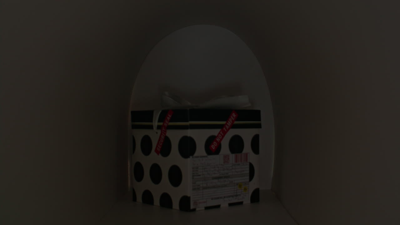 Diverse Female Friends Taking Gift Parcel from Mailbox with Excitement