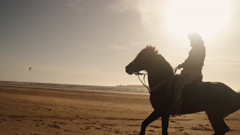 horseback riding at the beach in essaouira, morocco. - wide shot