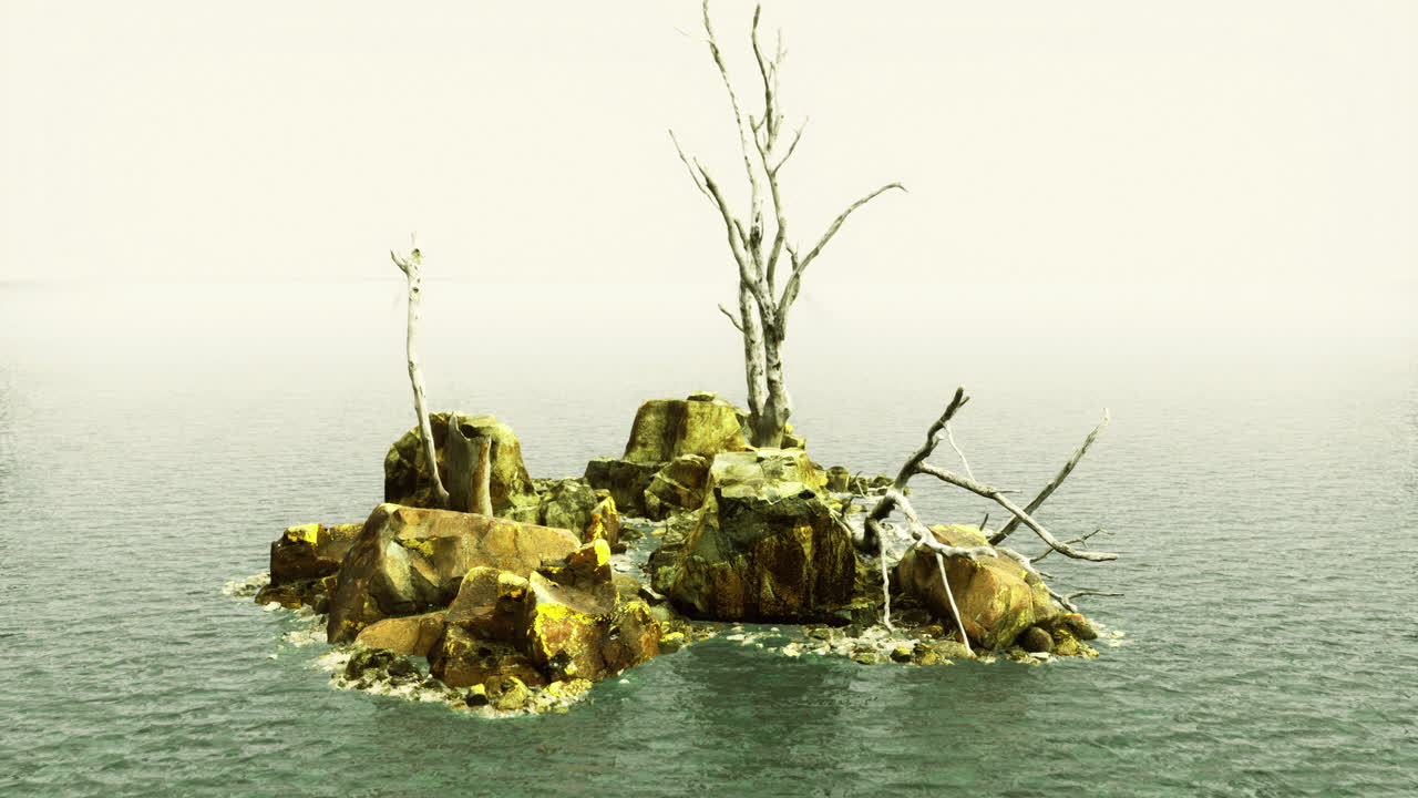 Serene rocky island with bare trees in calm water during early morning light