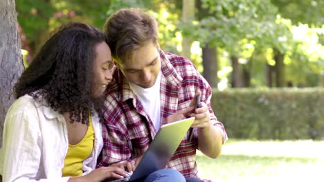 happy diverse couple using laptop and smartphone in park