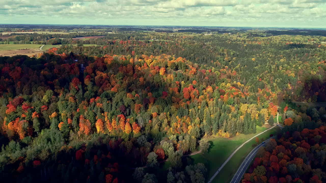 un colorido bosque otoñal en turaida, letonia, con un camino que serpentea a través de él - sobrevuelo aéreo
