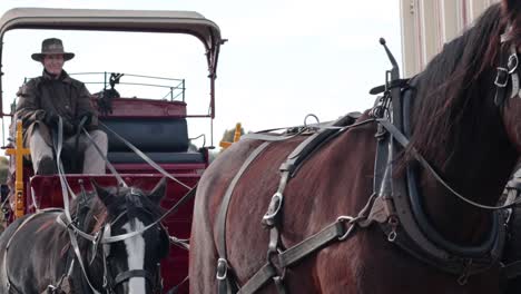 man driving horse-drawn carriage through historic street