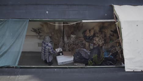 Peak-inside-a-dried-flower-arrangement-shop-business-with-female-adult-elderly-woman-standing-under-dark-tent-roof-partially-opened-and-exposed-to-sunlight,-Porto,-Portugal,-overhead-static-view