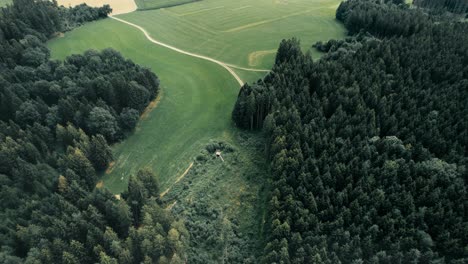 a serpentine country road weaving through dense green forest and fields, daylight, aerial view