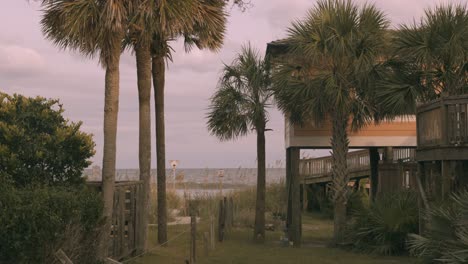 beach access with palm trees and beach house