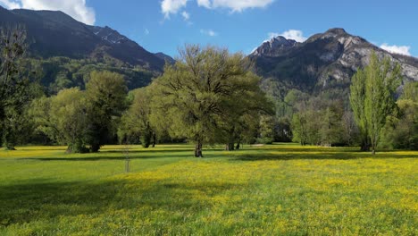 Pintoresco-Paisaje-Suizo-De-Prados-Llenos-De-Flores-Silvestres,-árboles