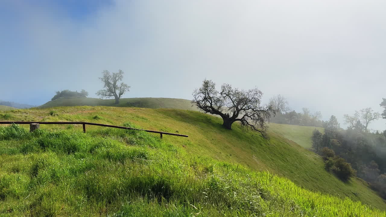 Misty Morning Fog Rolling Over Big Sur's Limekiln Hills
