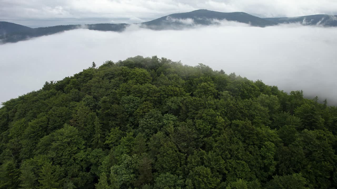 안개 낀 날 산 정상에 공중 접근