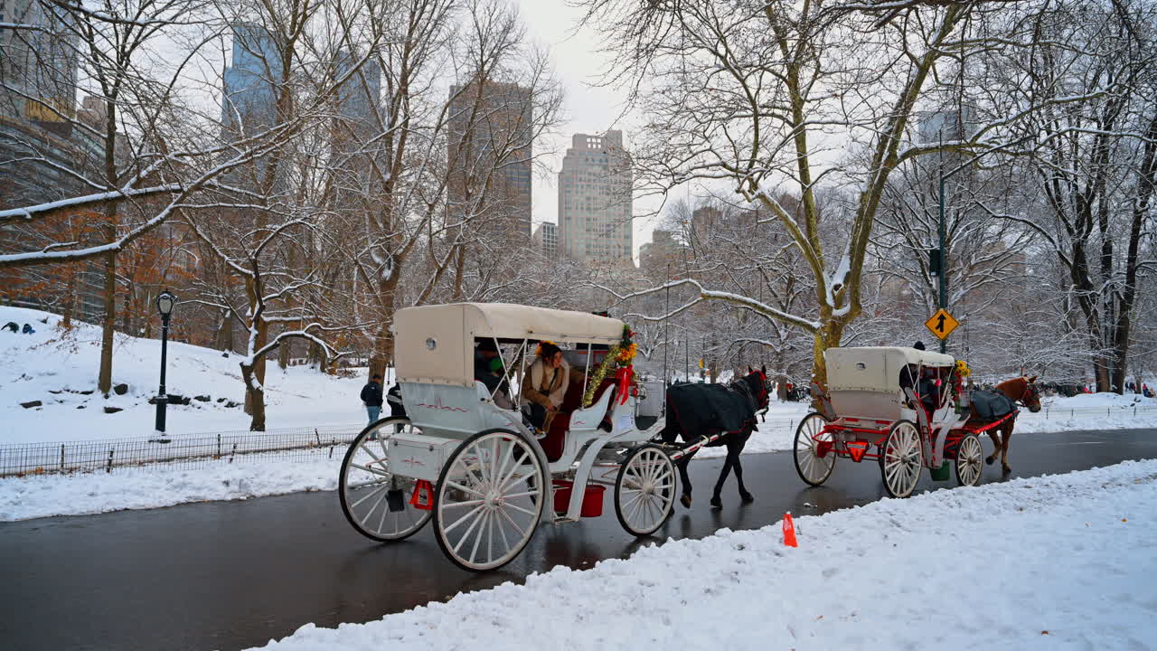 New York, USA, 22 dicembre 2025: Due carrozze decorate su strada innevata. Cavalli trainano vagoni turistici lungo il viale del parco sotto rami spogli