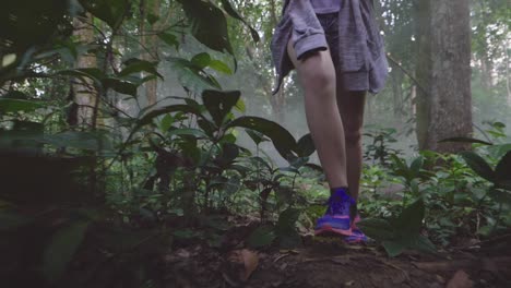 woman hiking in a misty forest