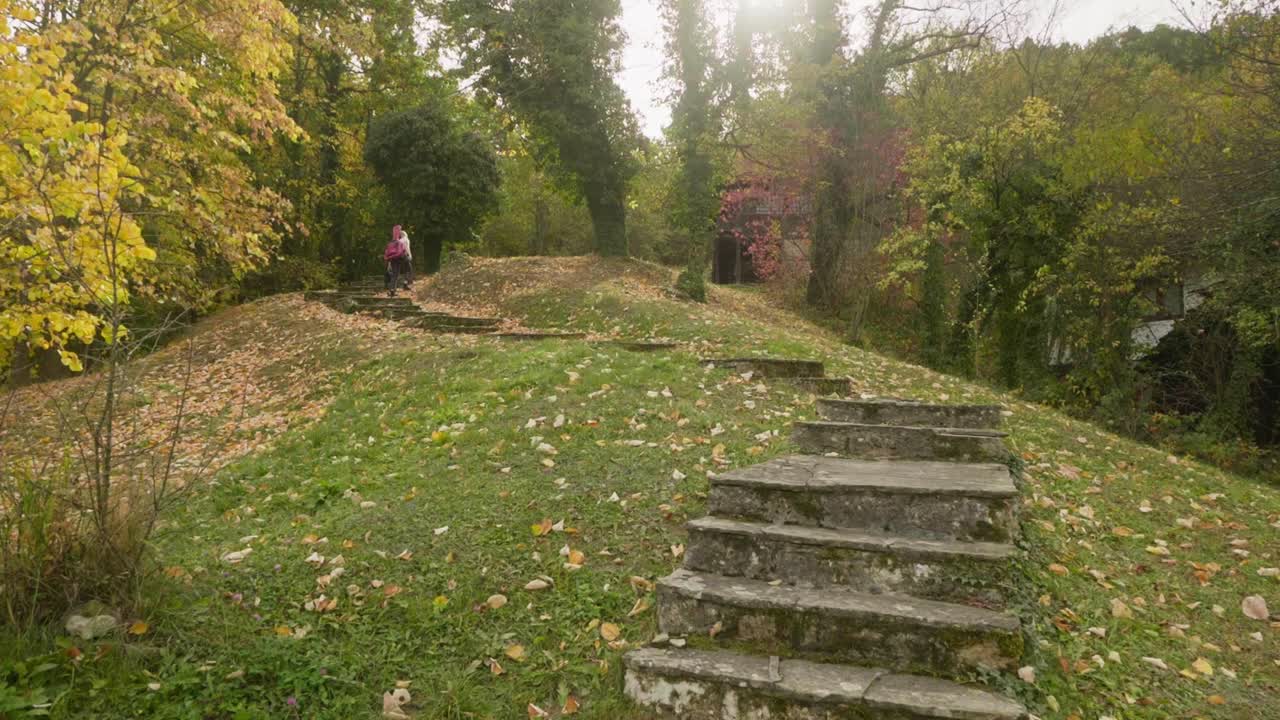 el músico sube los escalones de la colina del bosque la escena del parque del otoño dorado
