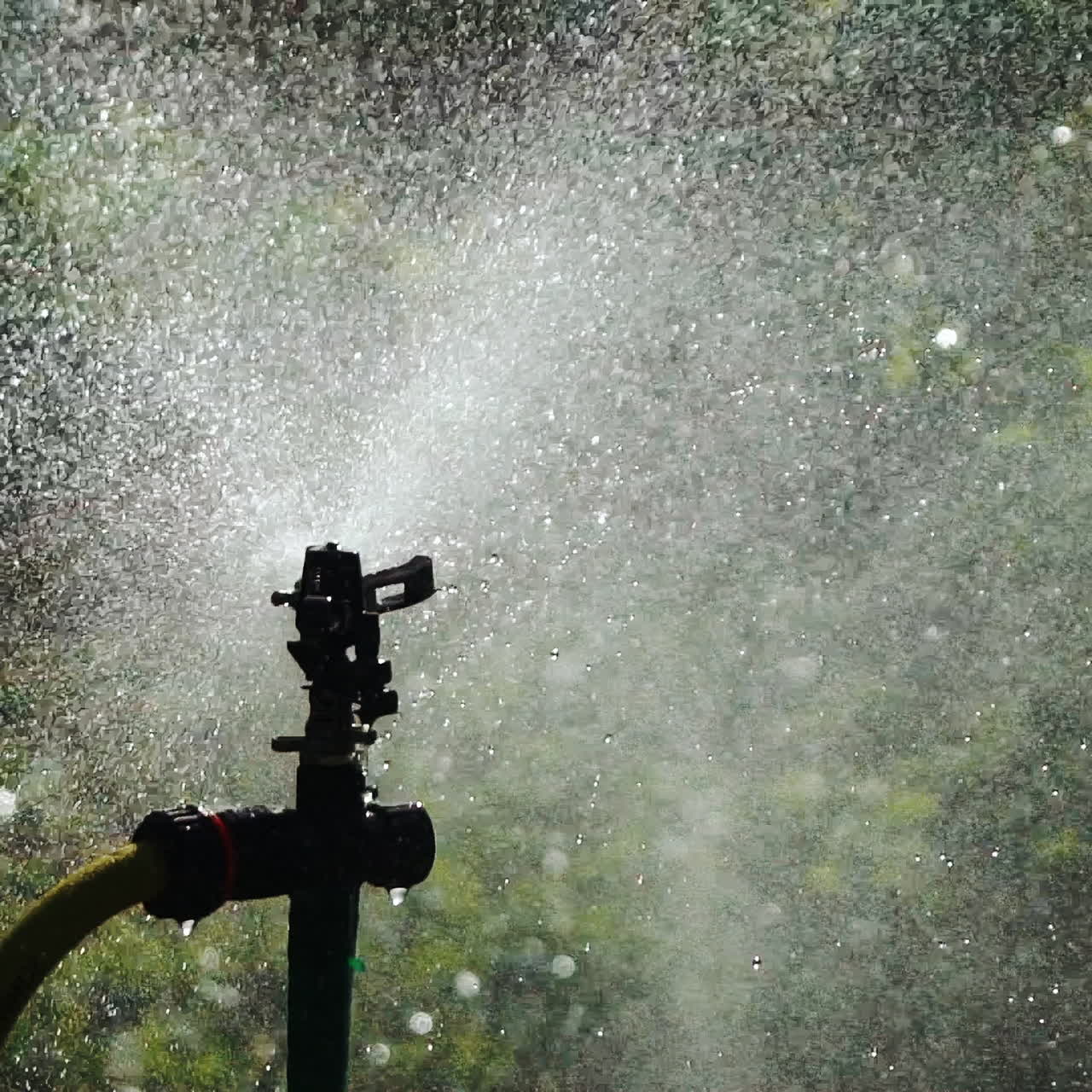 Sprinkler system sprays water on the grass in the garden. Slow Motion.