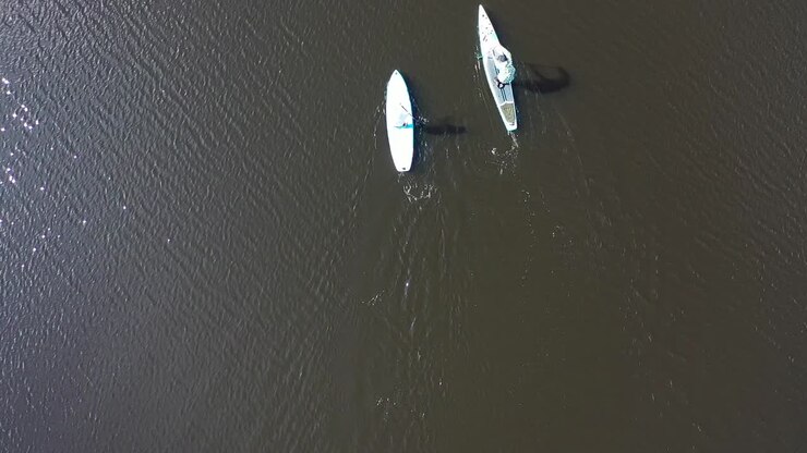 Two People Paddleboarding on a Calm Water