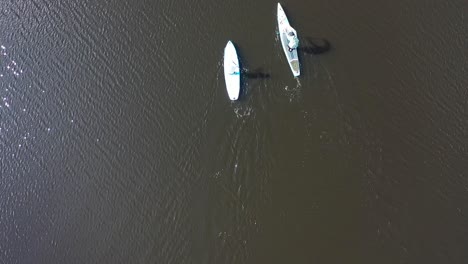 two people paddleboarding on a calm water