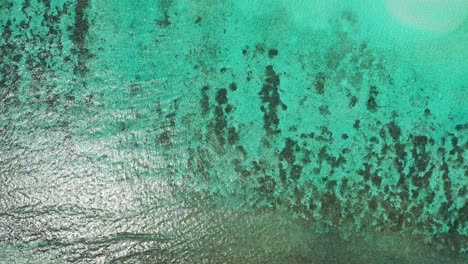 Sea-water-texture-with-beautiful-pattern-of-coral-reefs-thriving-under-clear-water,-reflecting-sunlight-on-seashore-of-tropical-island-in-Fiji