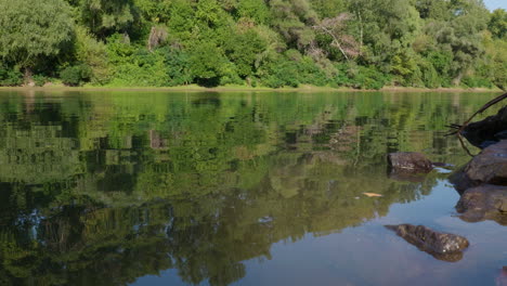 trees reflected in the river rippling water