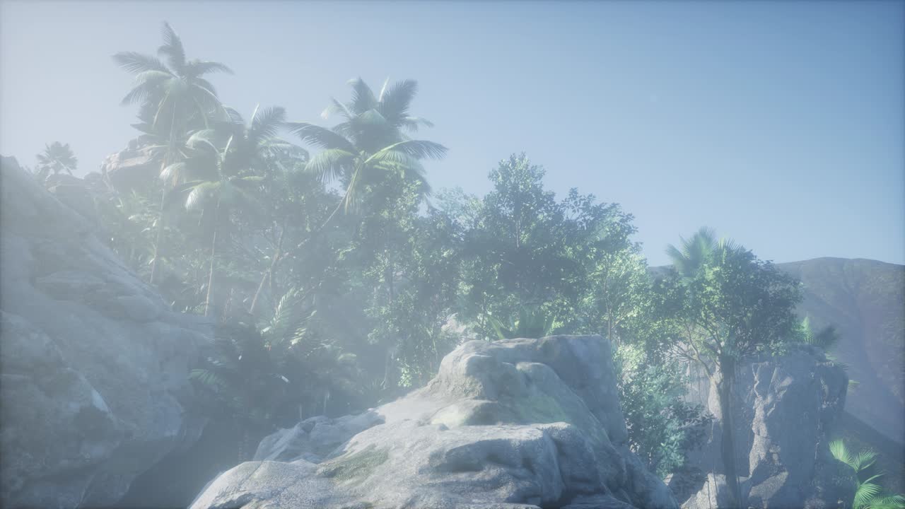 los rayos del atardecer a través de las palmeras