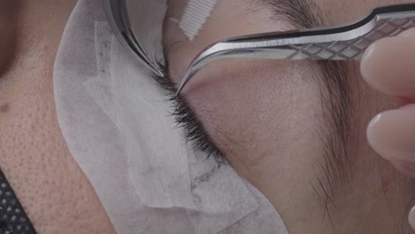 close up of false eyelash placement on the eye