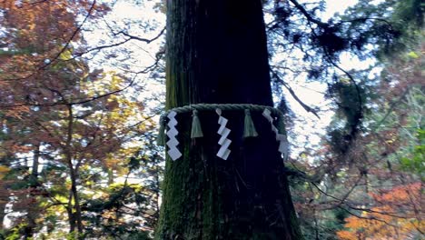 mount takao day trip: explore tokyo's favorite mountain