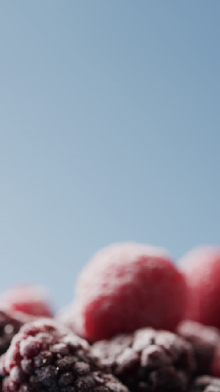 Micro vertical video close up of raspberries and copy space on blue background