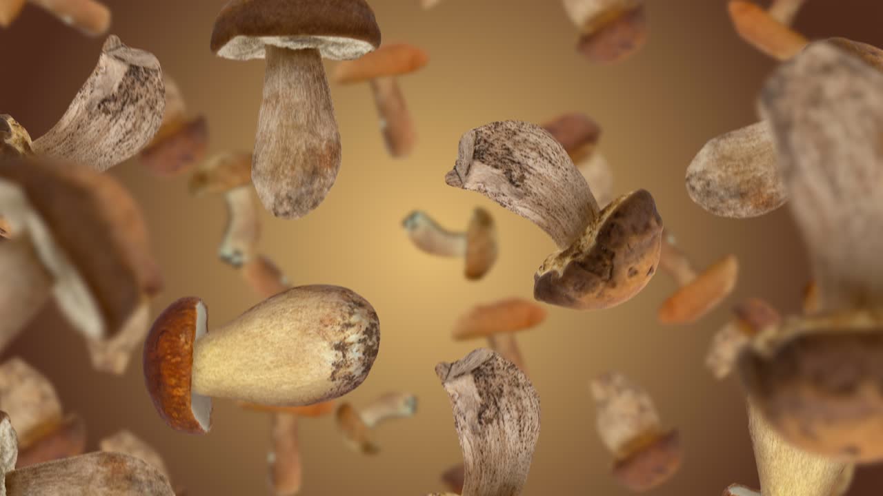 los hongos frescos caen hacia abajo, en cámara lenta.