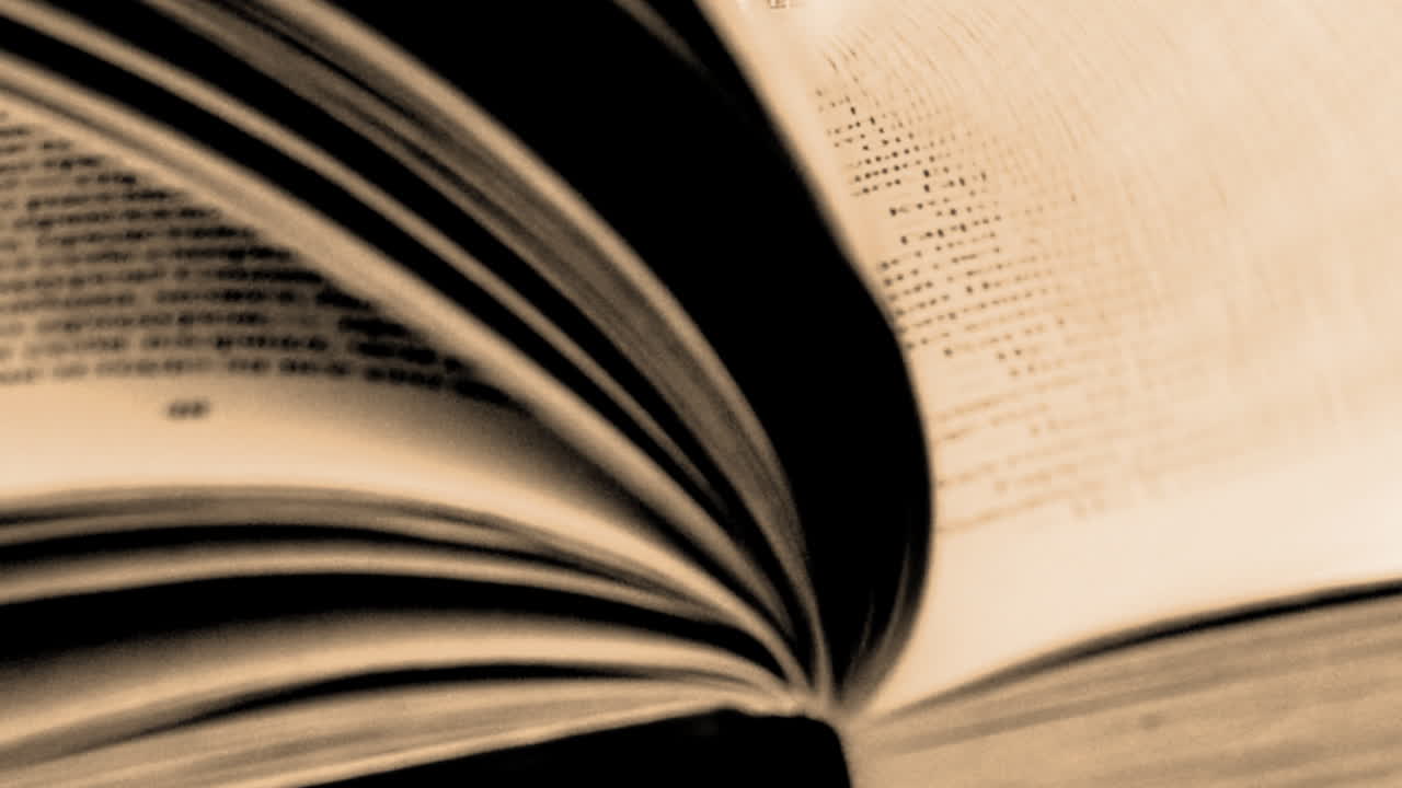 Scorrimento di pagine. Pagine nel libro.
