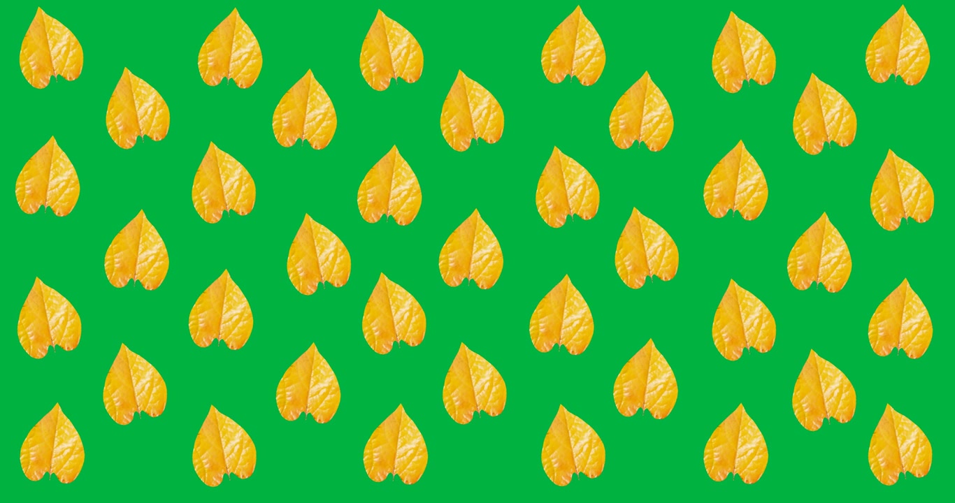 Digital animation of multiple yellow autumn leaves in seamless pattern against black background
