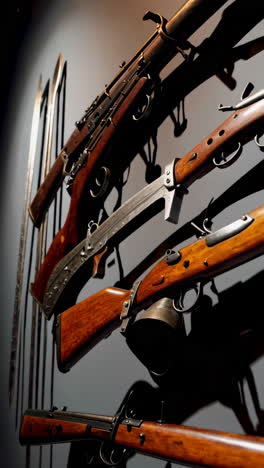 antique weapons collection display